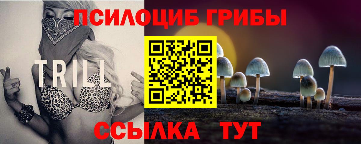 Псилоцибиновые грибы Psilocybine cubensis  Вход с VPN  Нефтекамск 